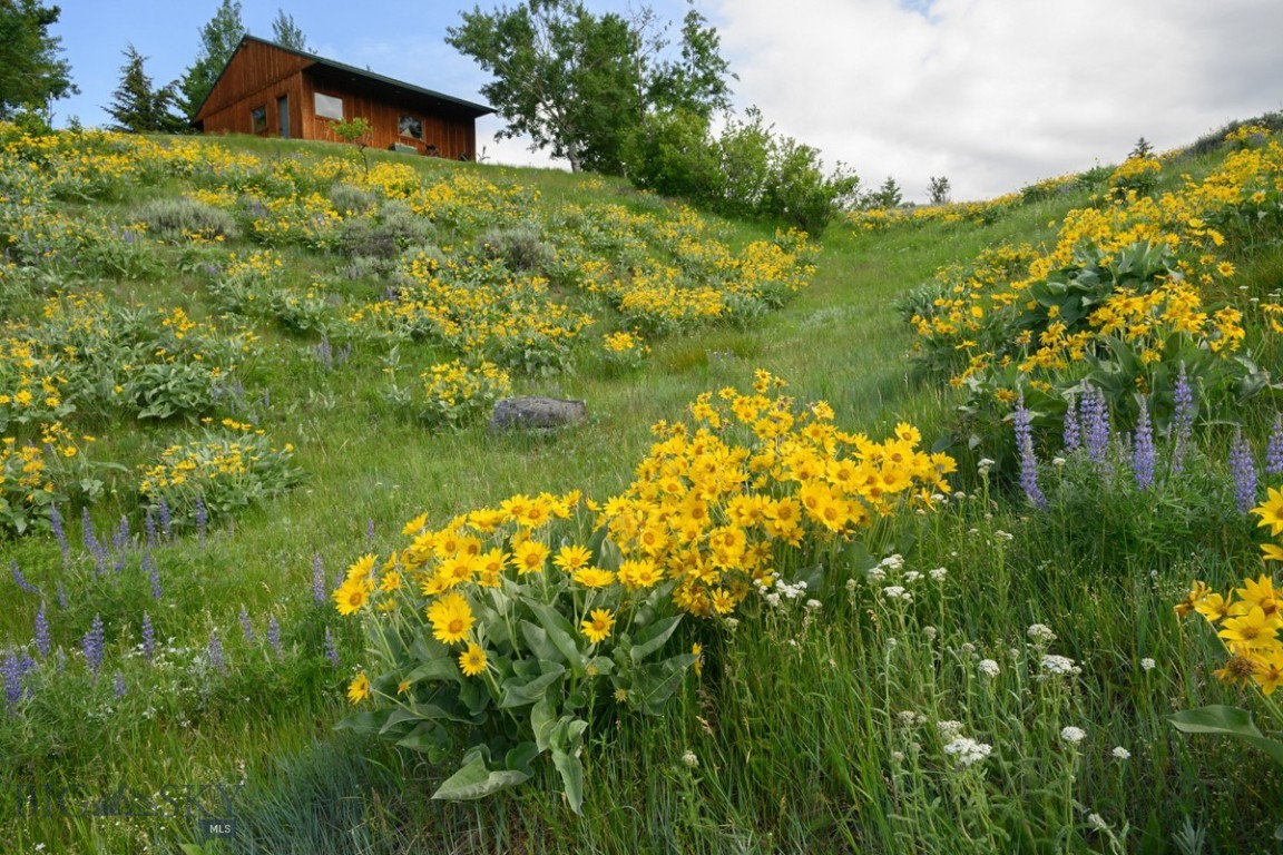 8906 Gold Dust Trail