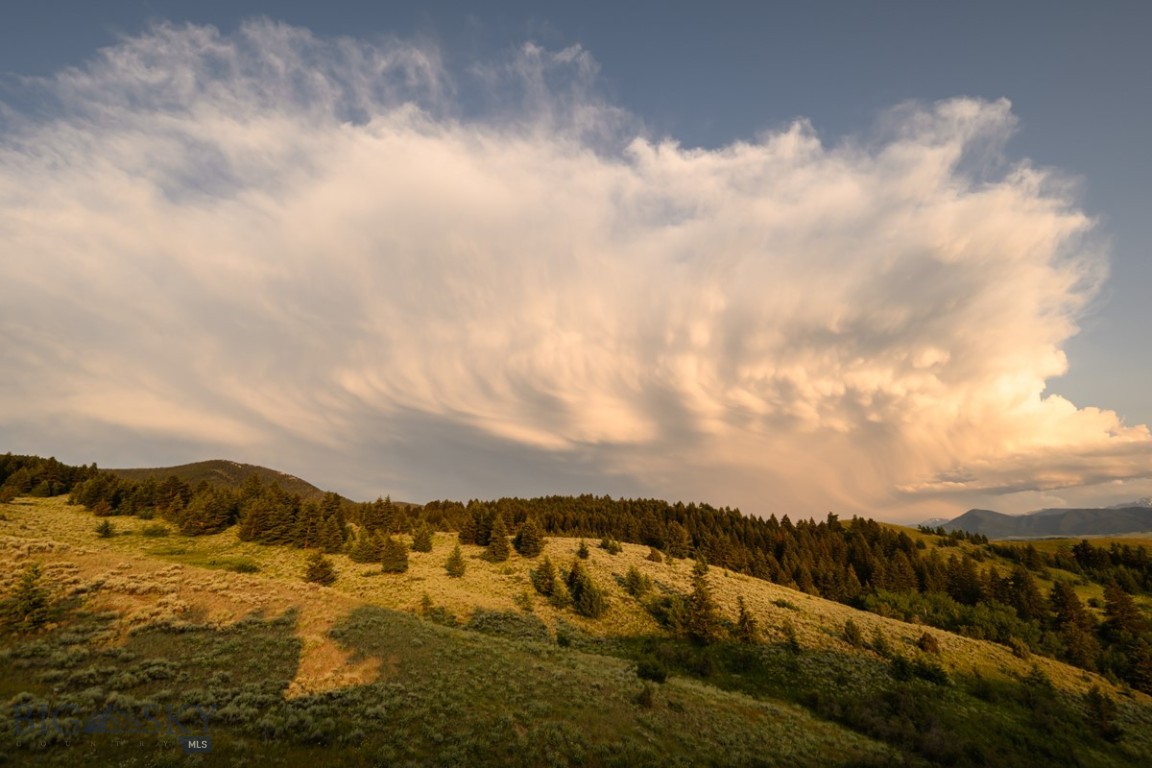 8906 Gold Dust Trail