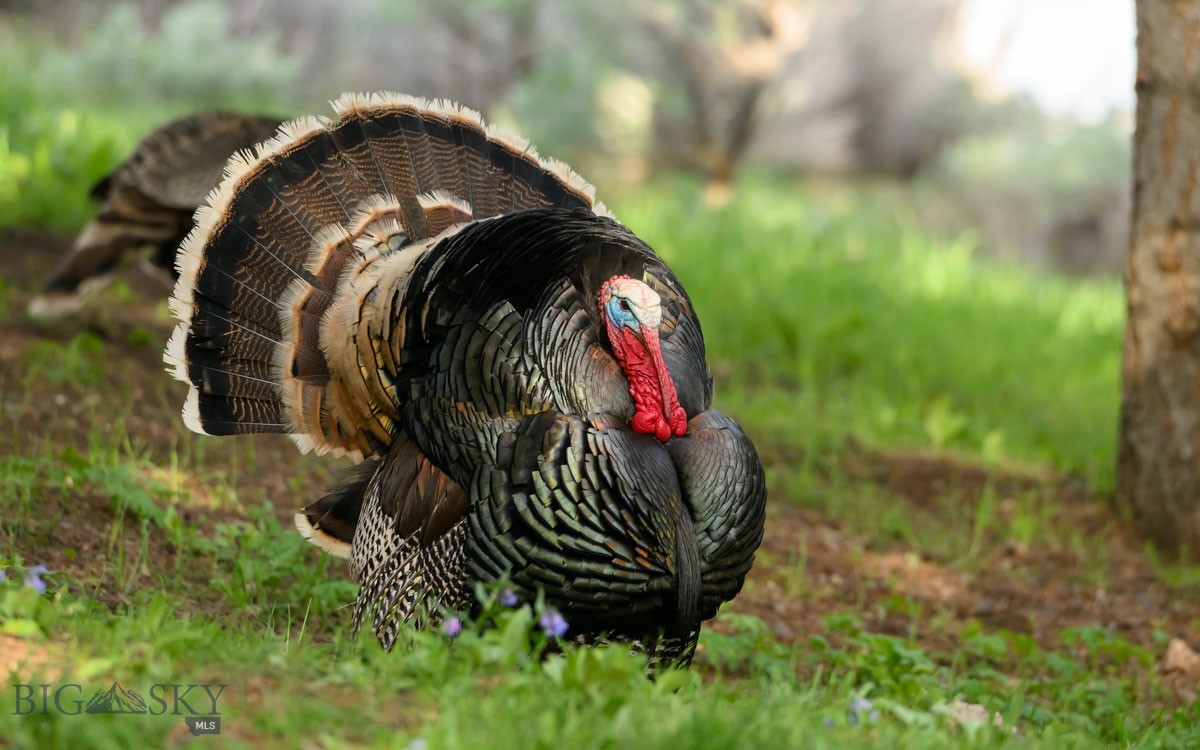 8906 Gold Dust Trail