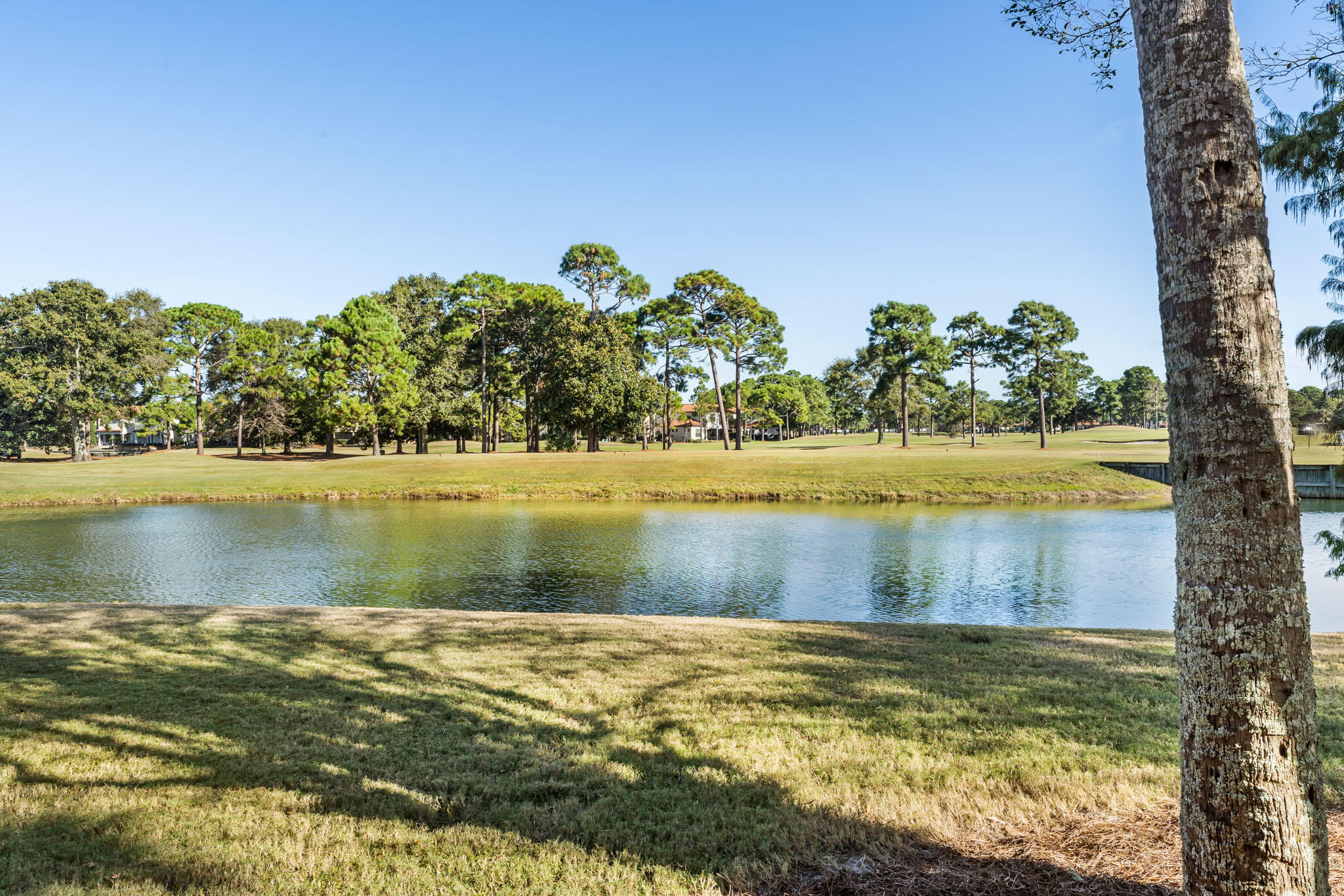 8593 Magnolia Bay Lane
