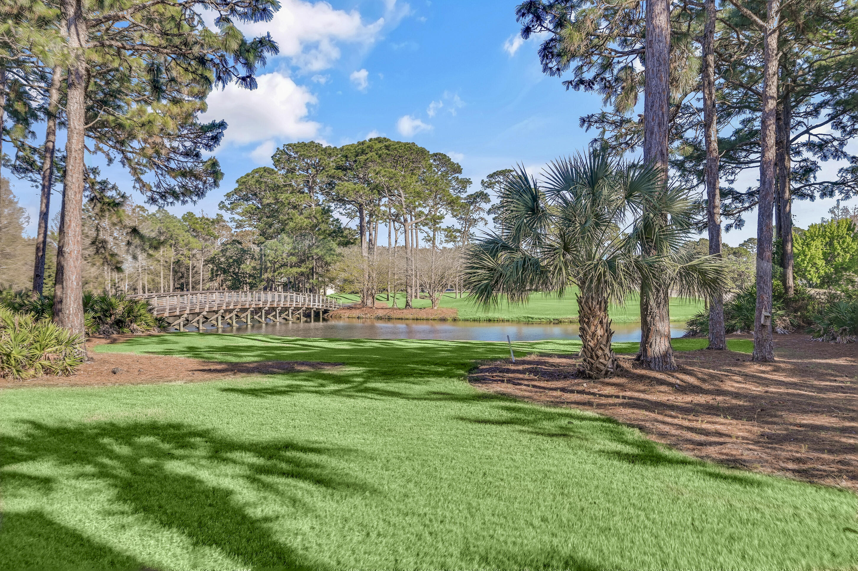 Golf course pond and wooden bridge framed by pines and palms