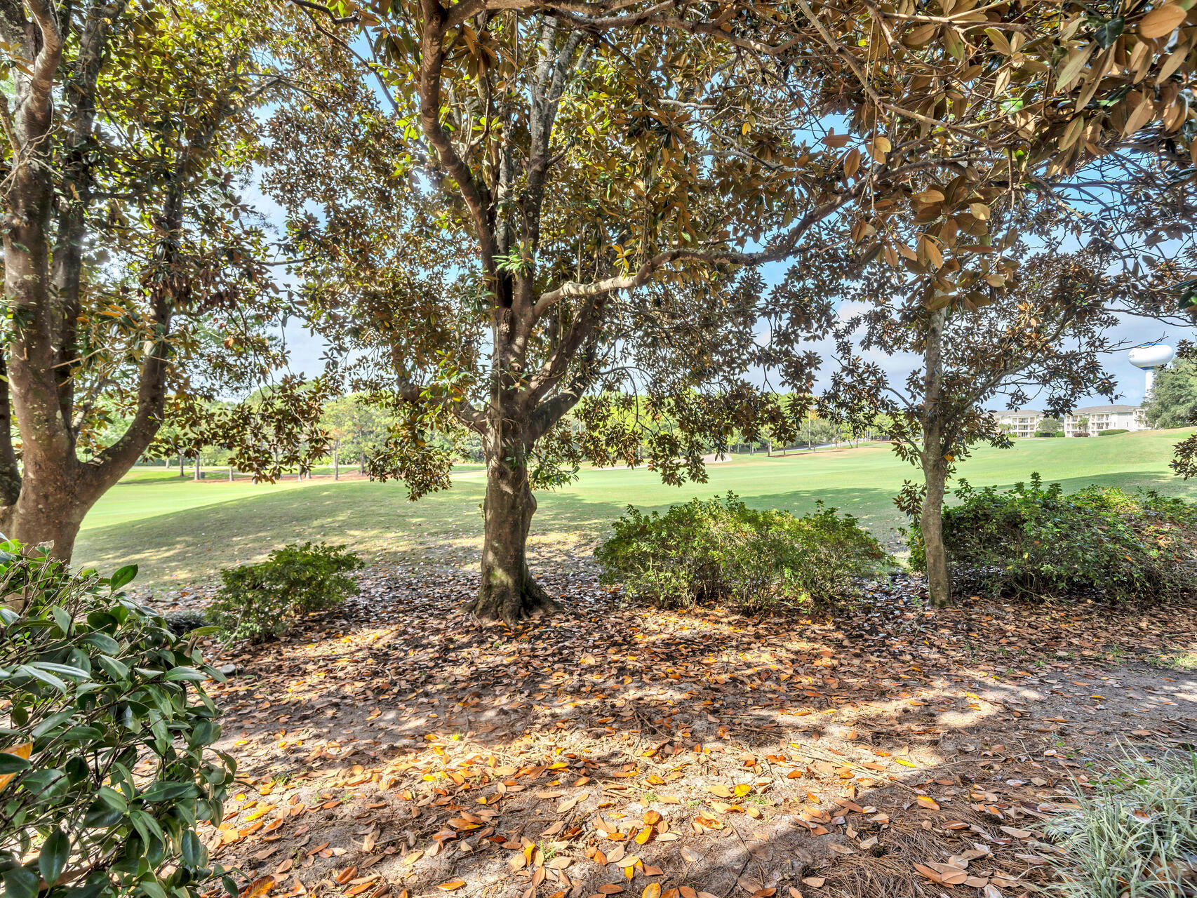 5252 Tivoli Drive, # 5252