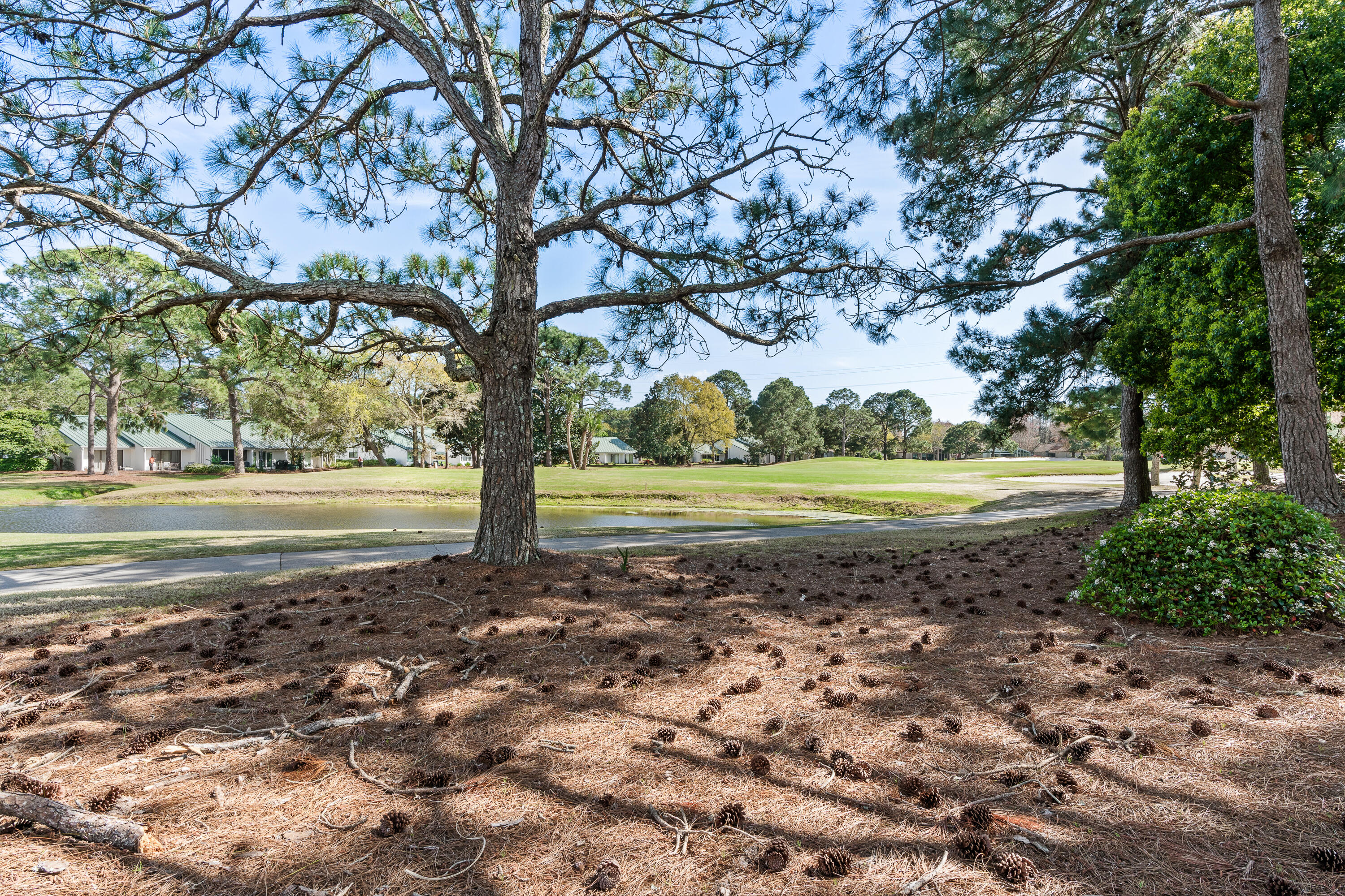 717 Sandpiper Drive, 717