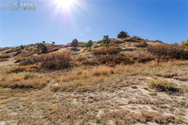 7685 Sierra Pine Drive