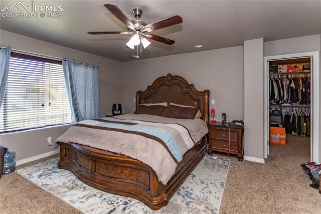 7895 Dutch Loop
