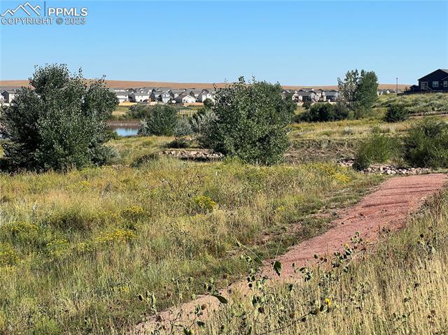 7895 Dutch Loop