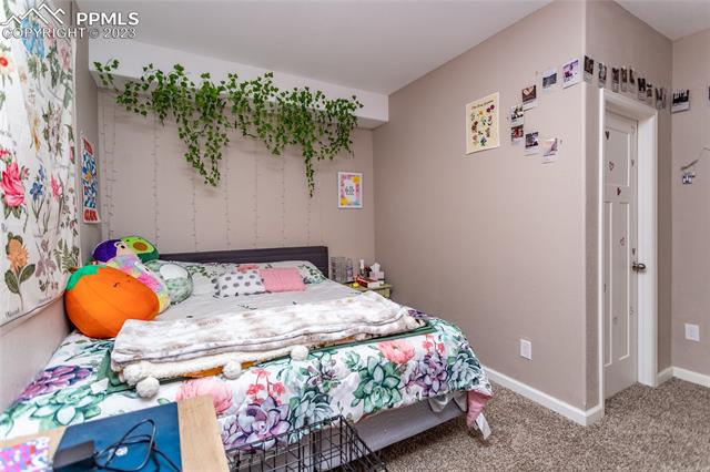 7895 Dutch Loop