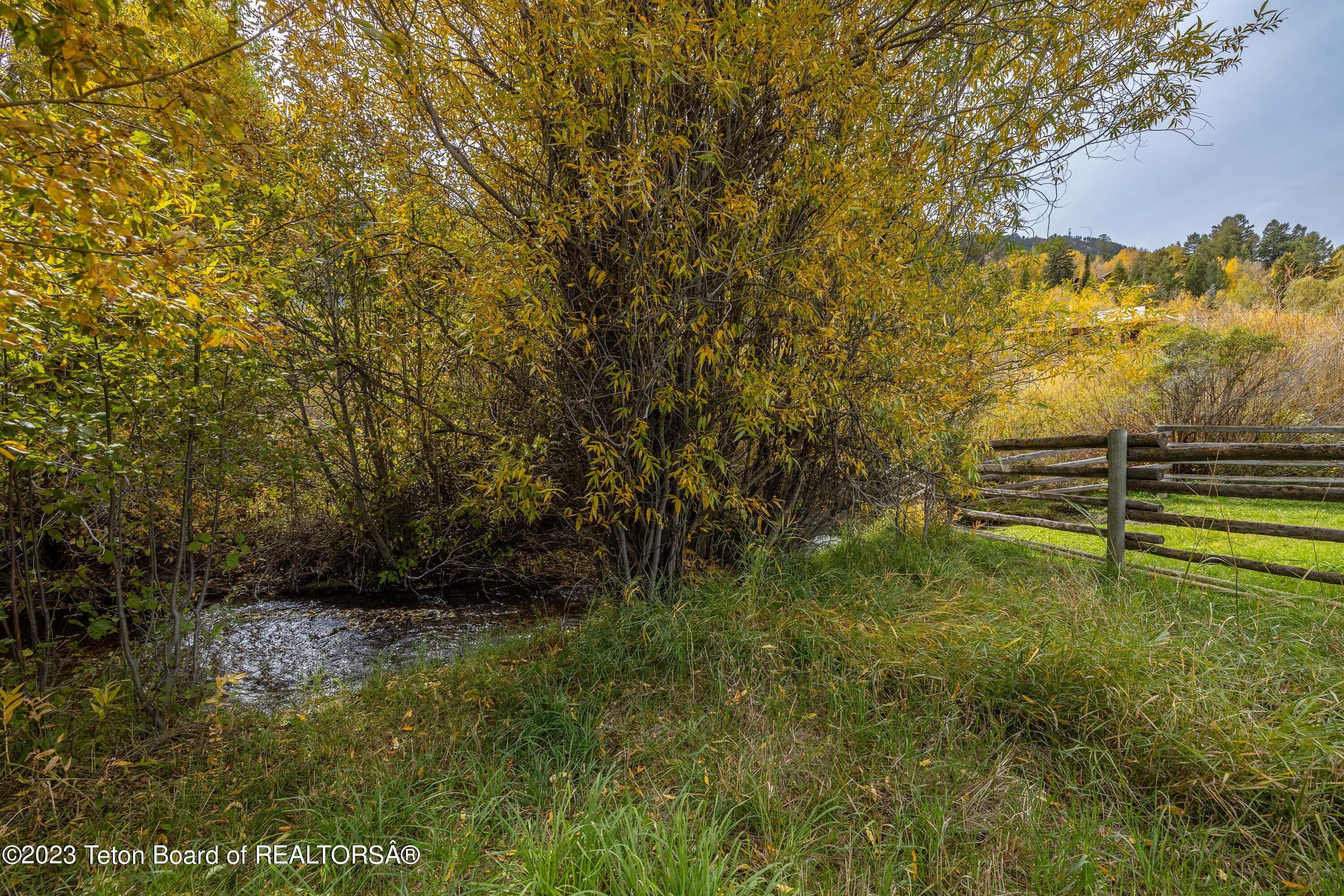 864 CACHE CREEK Drive