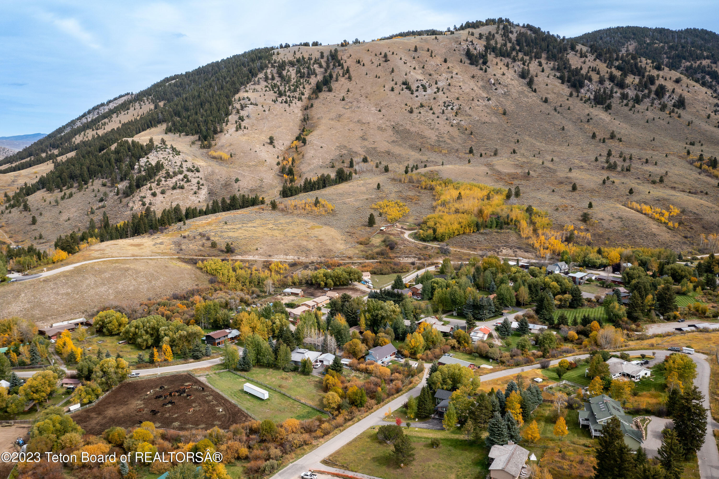 864 CACHE CREEK Drive