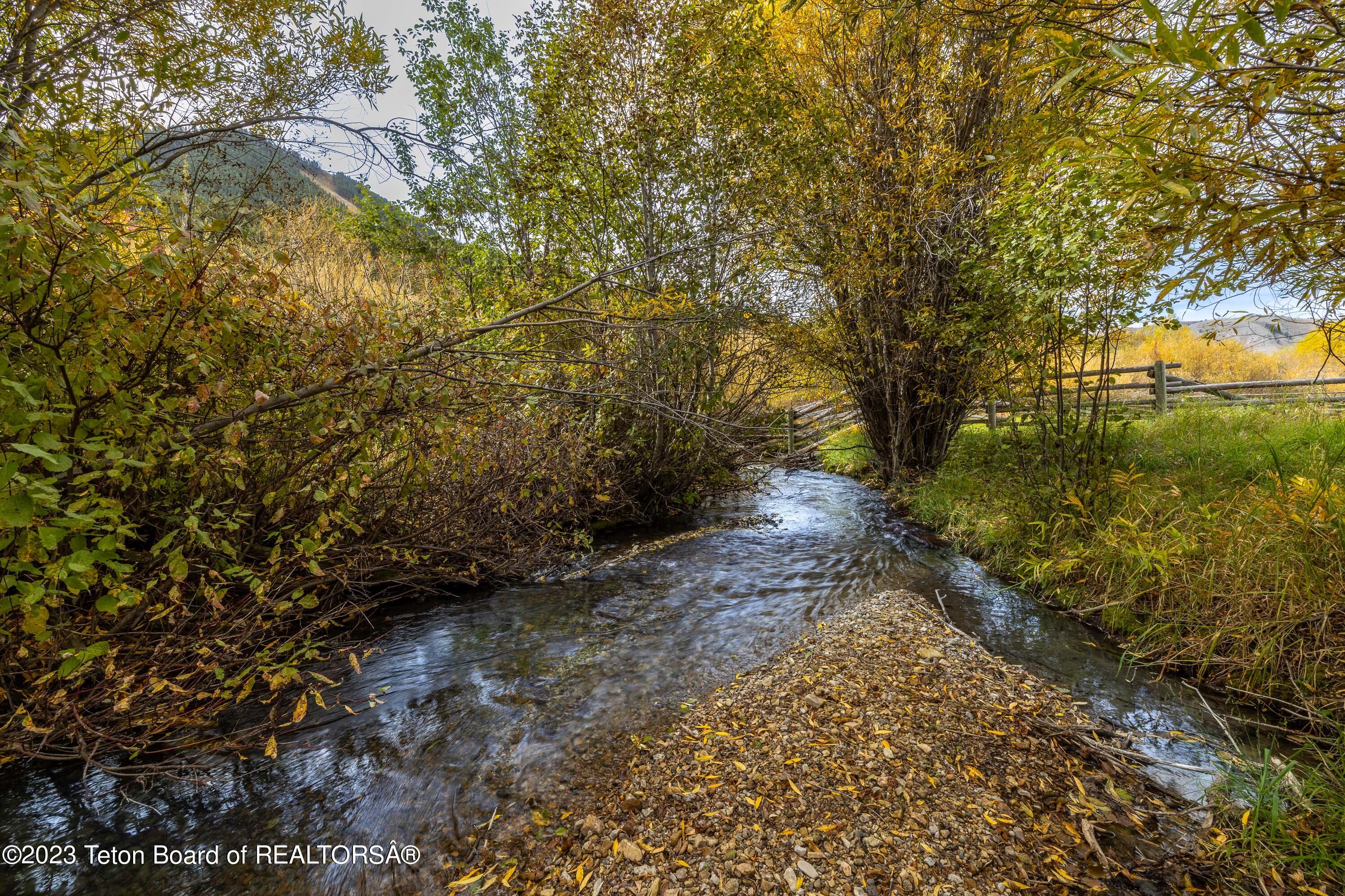 864 CACHE CREEK Drive