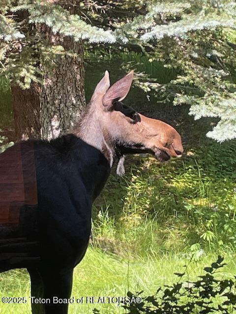 1050 S BLUE DUN Lane