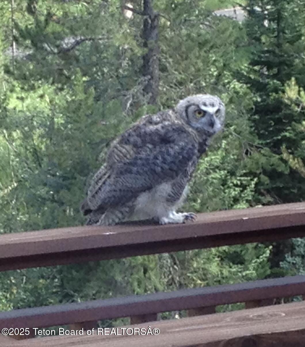 1050 S BLUE DUN Lane