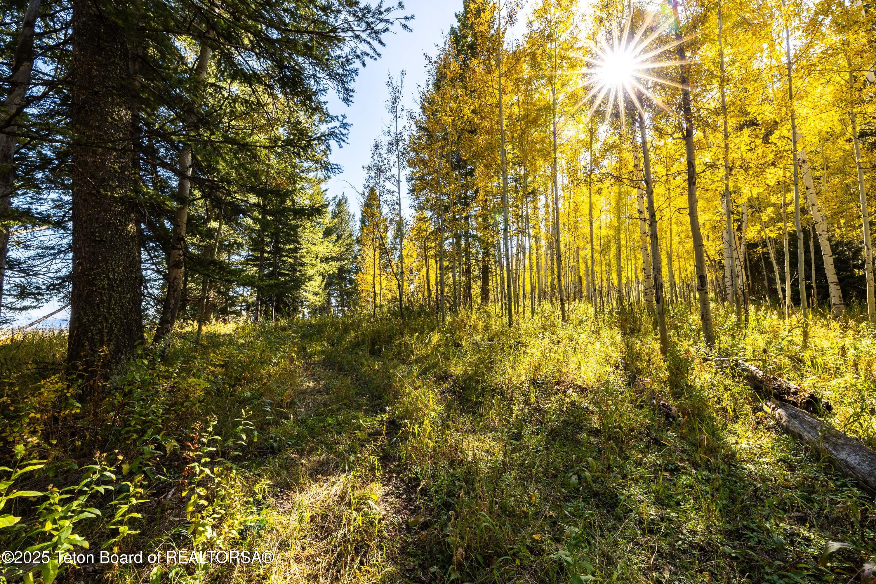 TBD FISH CREEK Road