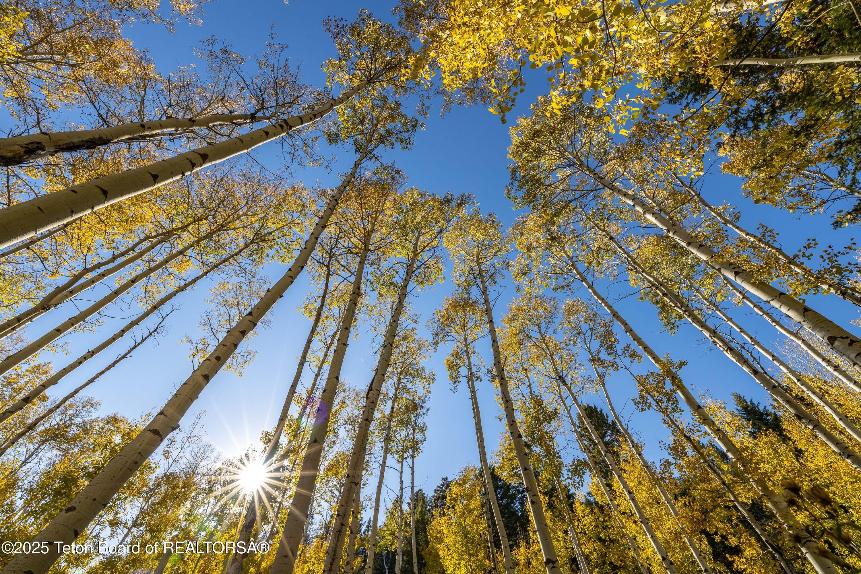 TBD FISH CREEK Road