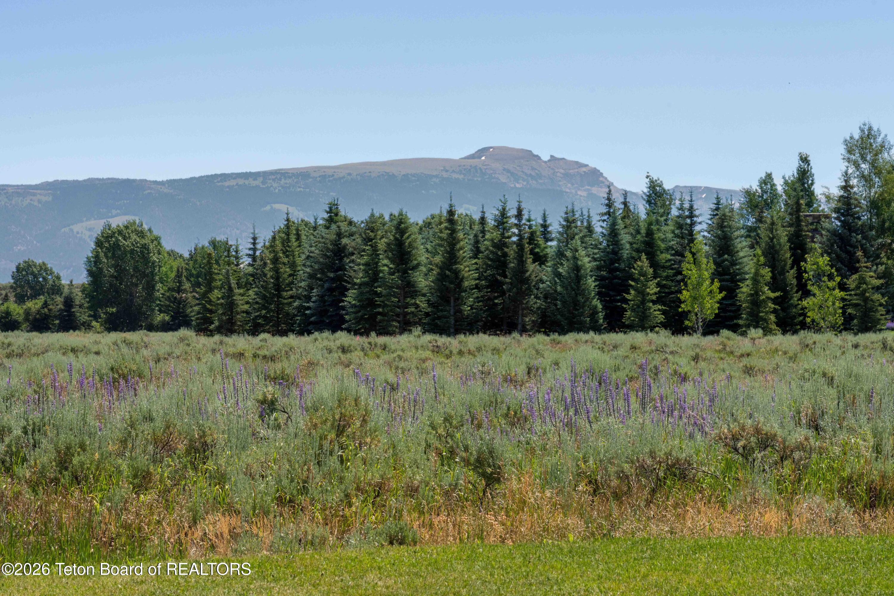 450 PHELPS CANYON Road