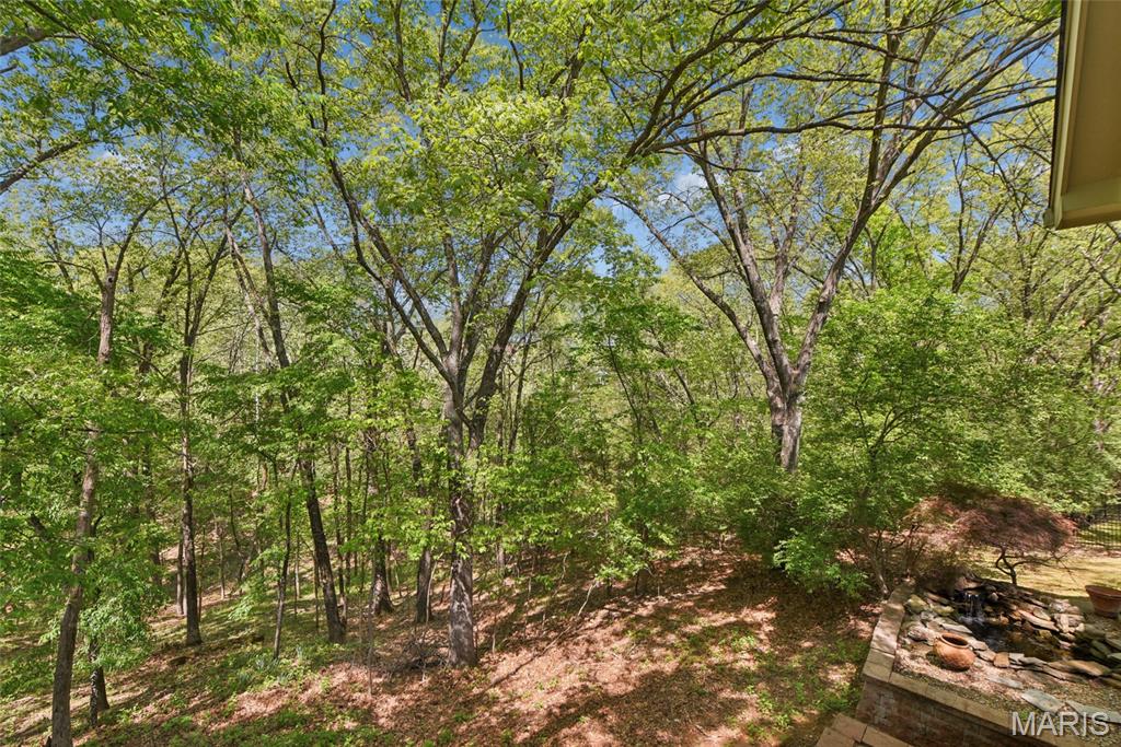 1509 Clayton Woods Court