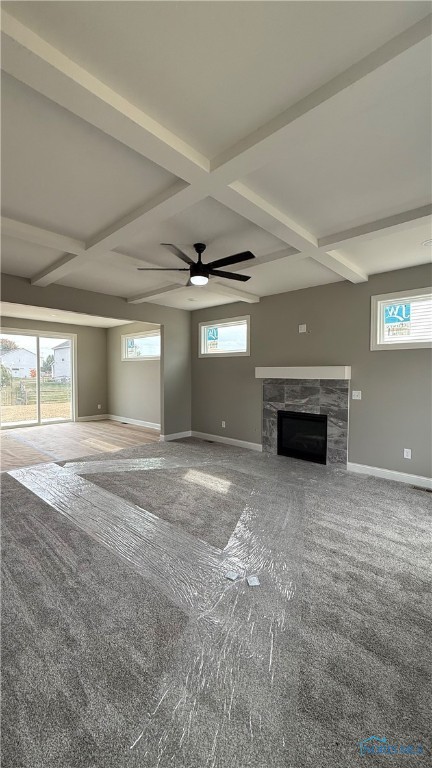 717 W Ironwood Drive