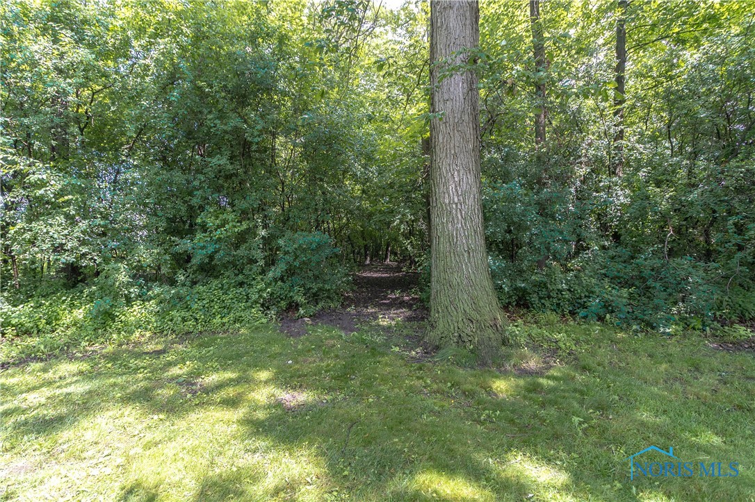 29392 Lime City Road