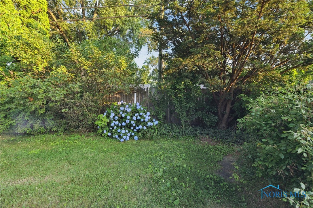 3129 Elmview Drive