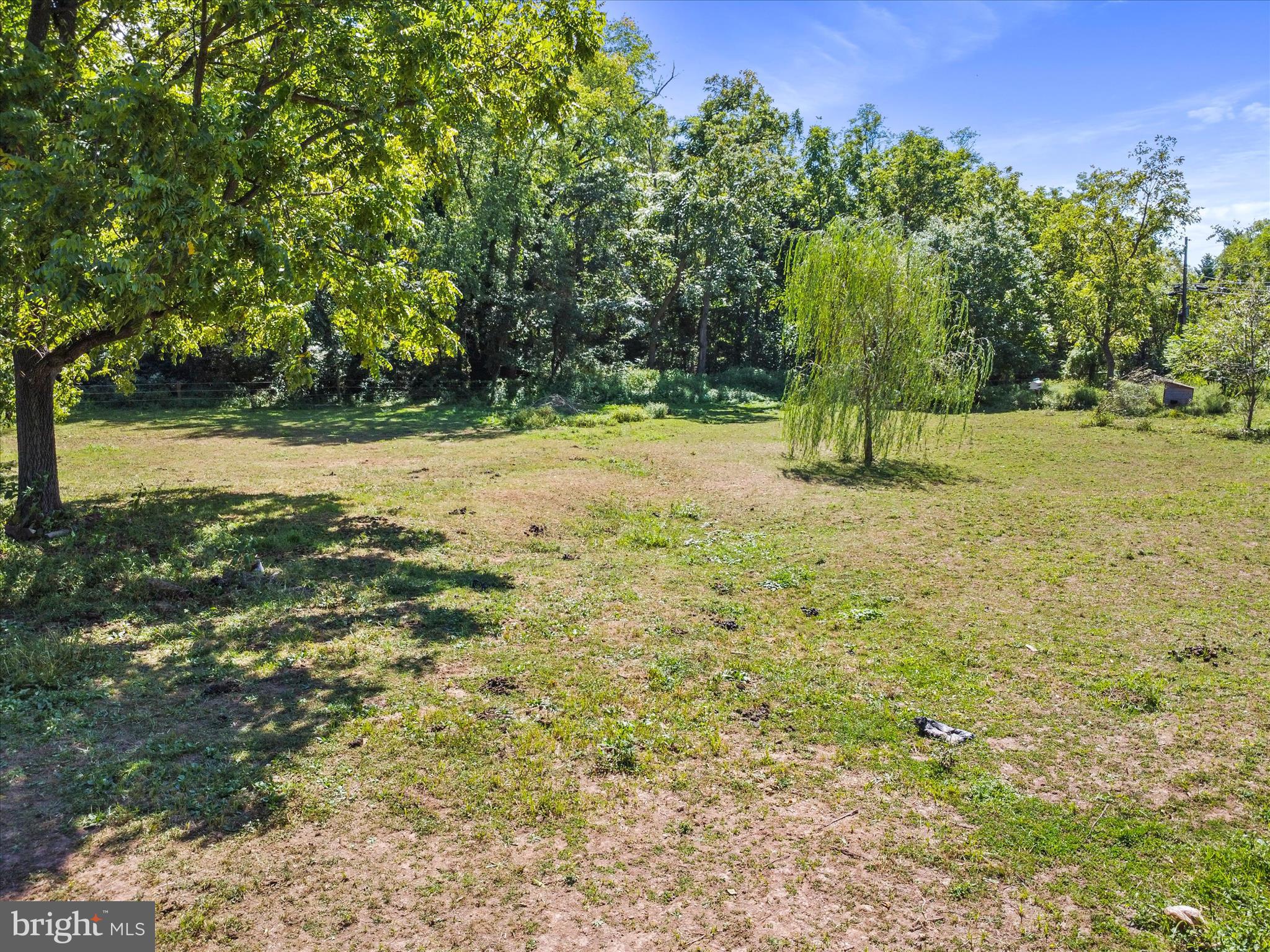 11715 CLYDE YOUNG ROAD