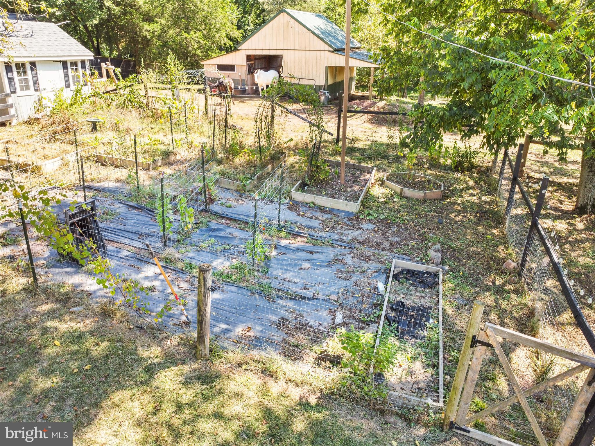 11715 CLYDE YOUNG ROAD