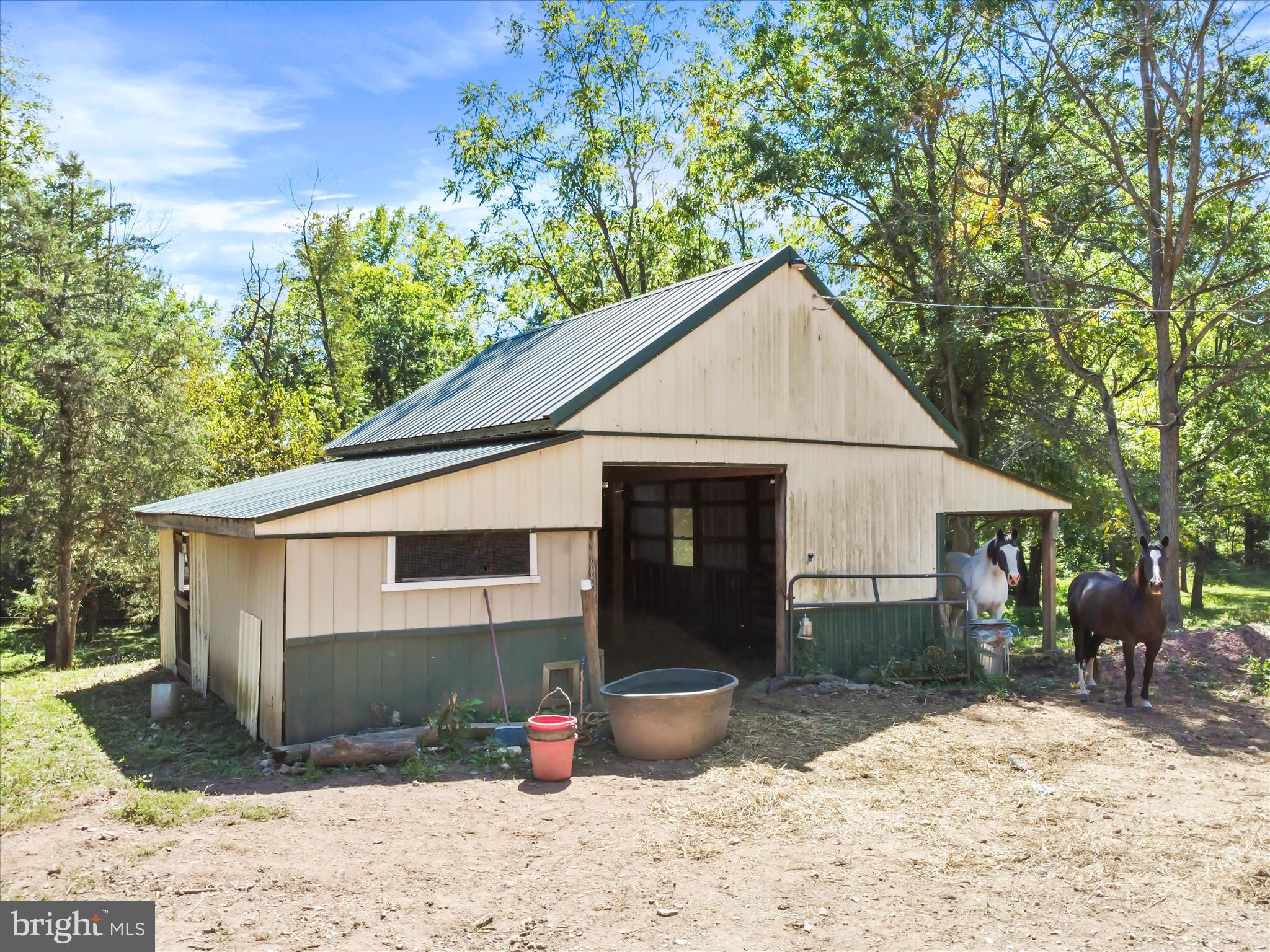 11715 CLYDE YOUNG ROAD