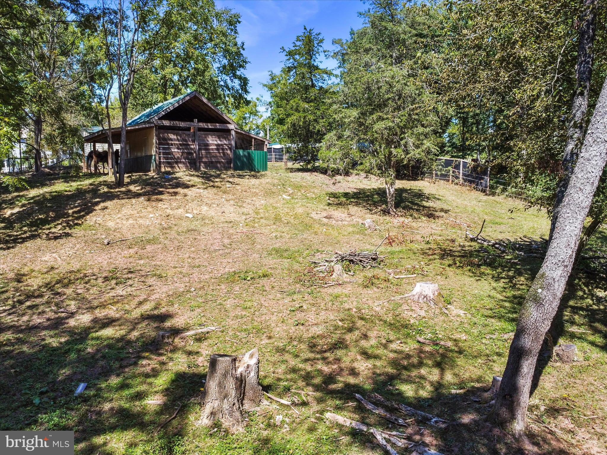 11715 CLYDE YOUNG ROAD