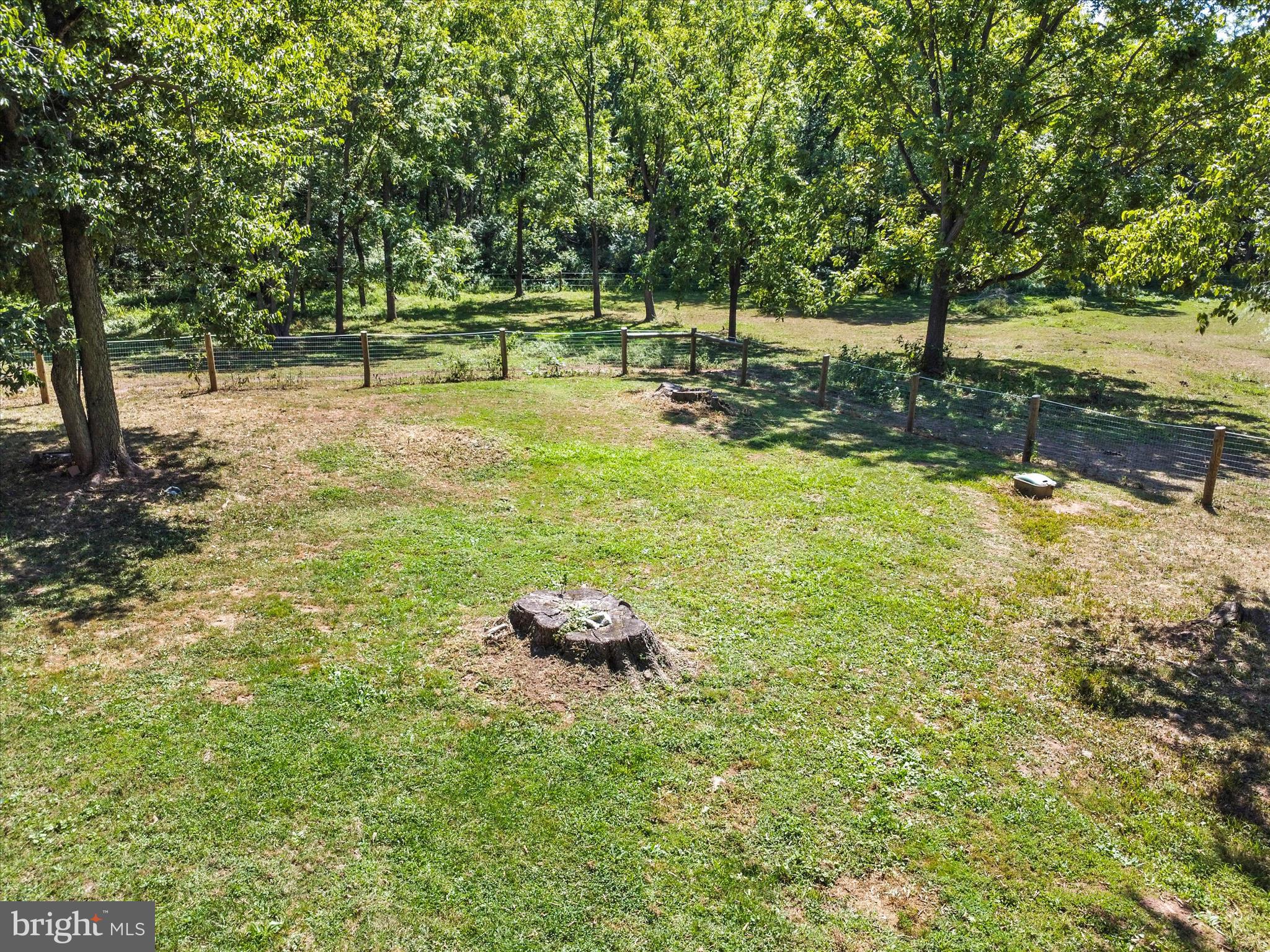 11715 CLYDE YOUNG ROAD