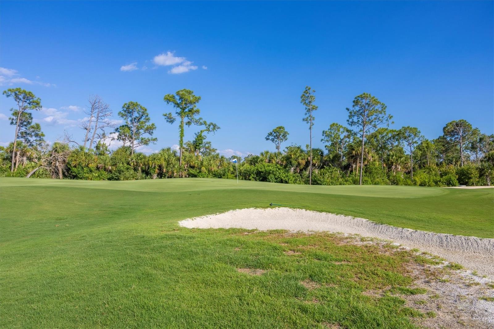 12320 WELLEN GOLF ST #403