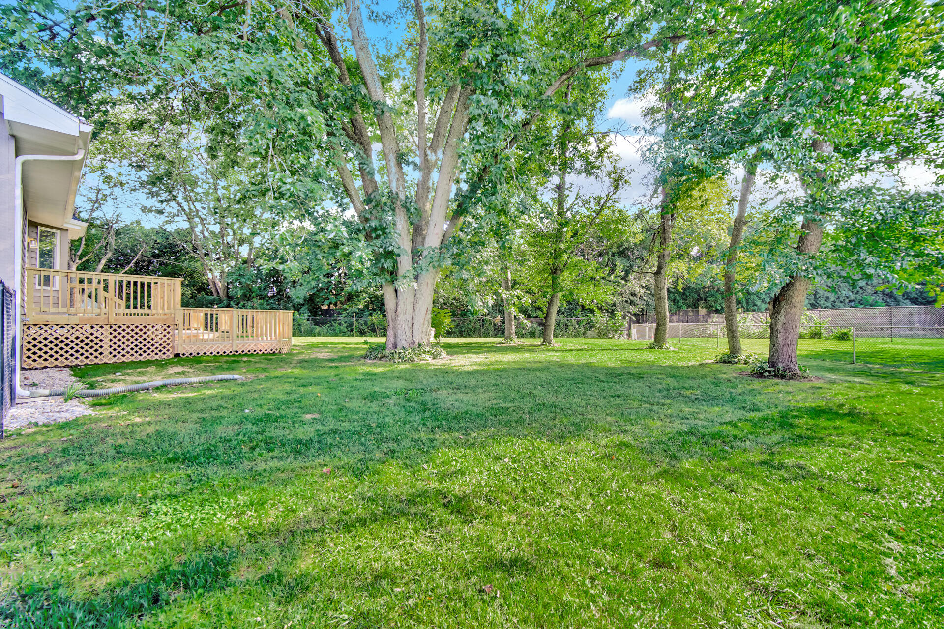 414 Whitewood Drive