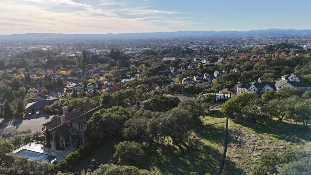 Aerial view of a leafy neighborhood, with a large home and pool in the foreground.
