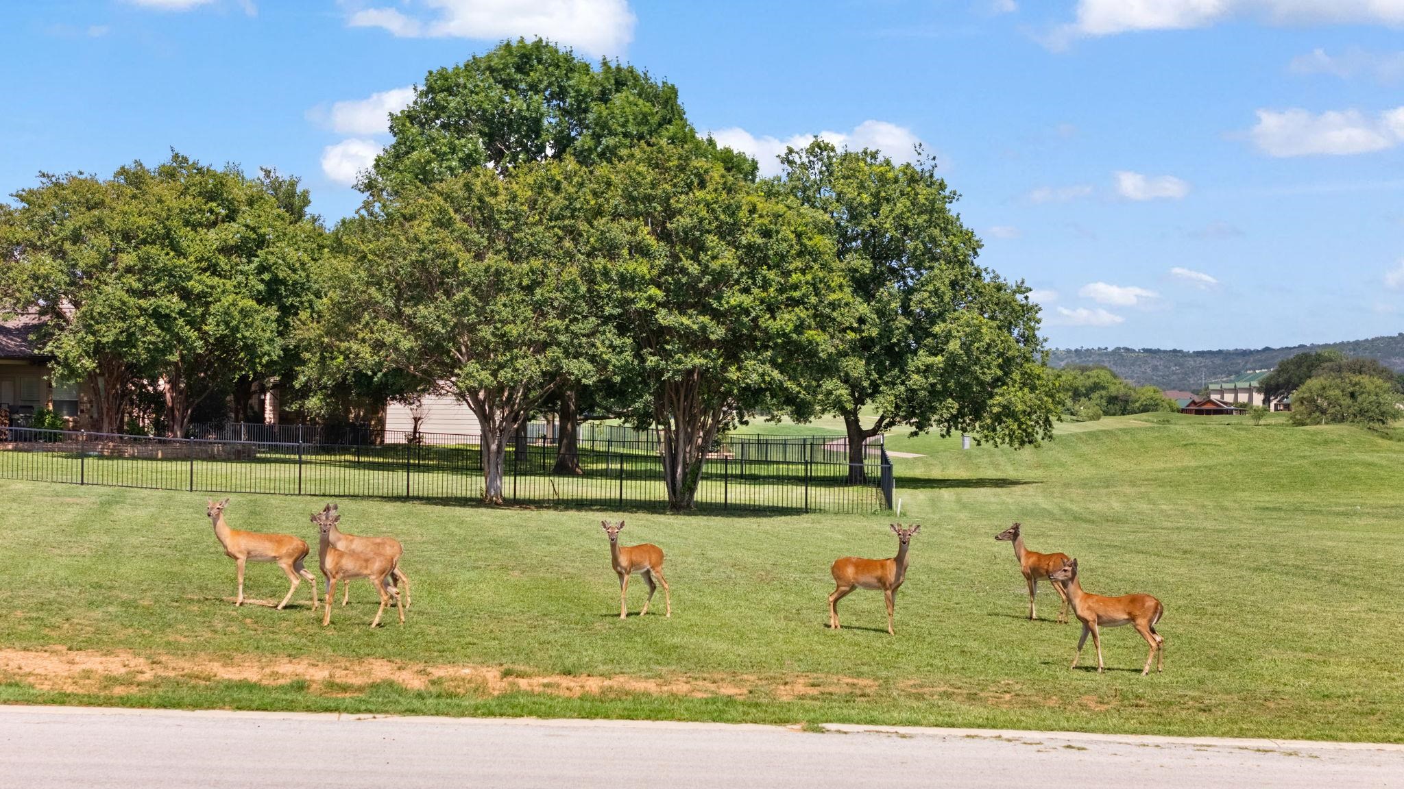 Lot 9002 Jubilee Dr.