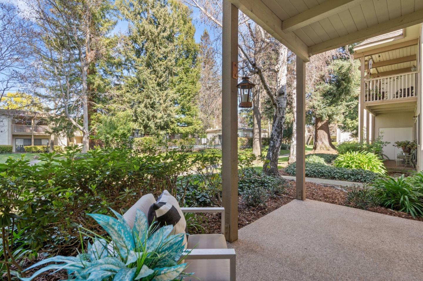 50 Horgan Avenue 37