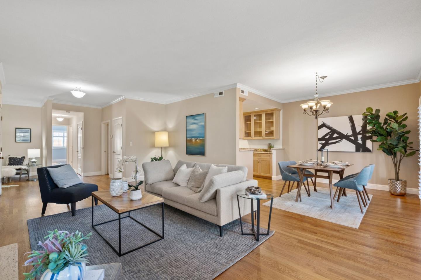 50 Horgan Avenue 37