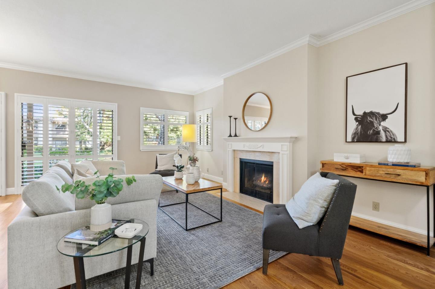 50 Horgan Avenue 37