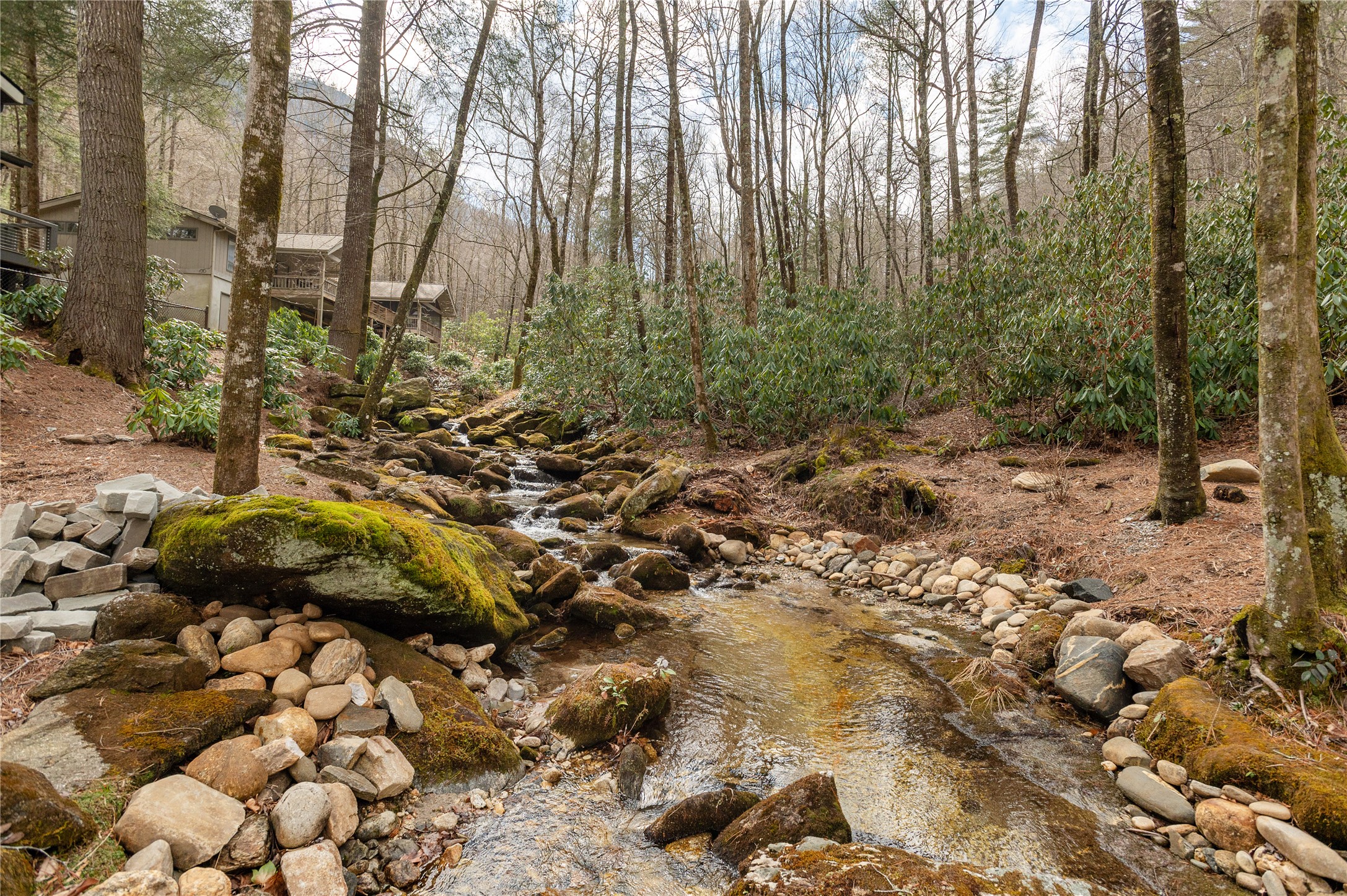 76 Ambleside Drive