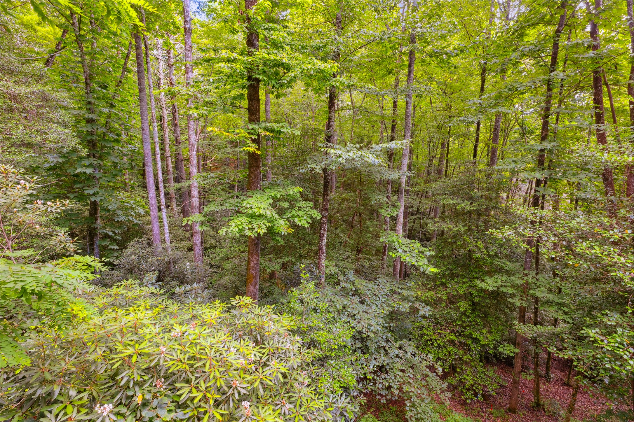132 Azalea Court