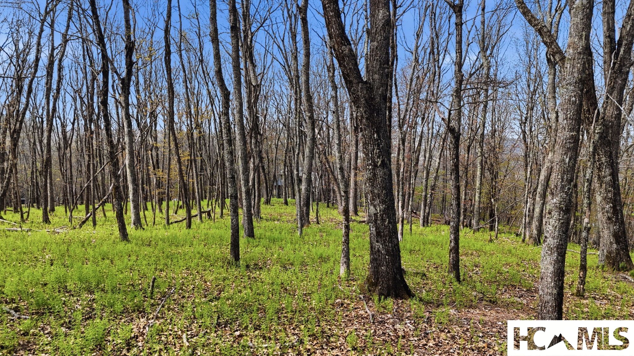 5 Misty Ridge Trail