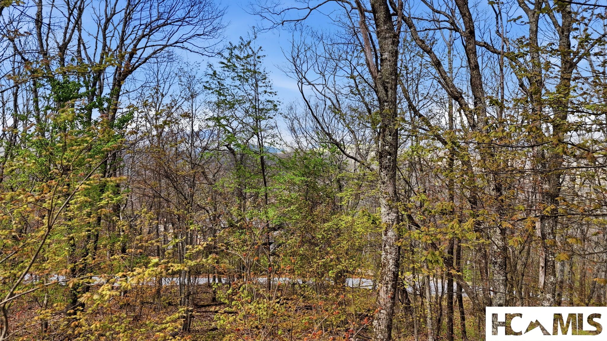 5 Misty Ridge Trail
