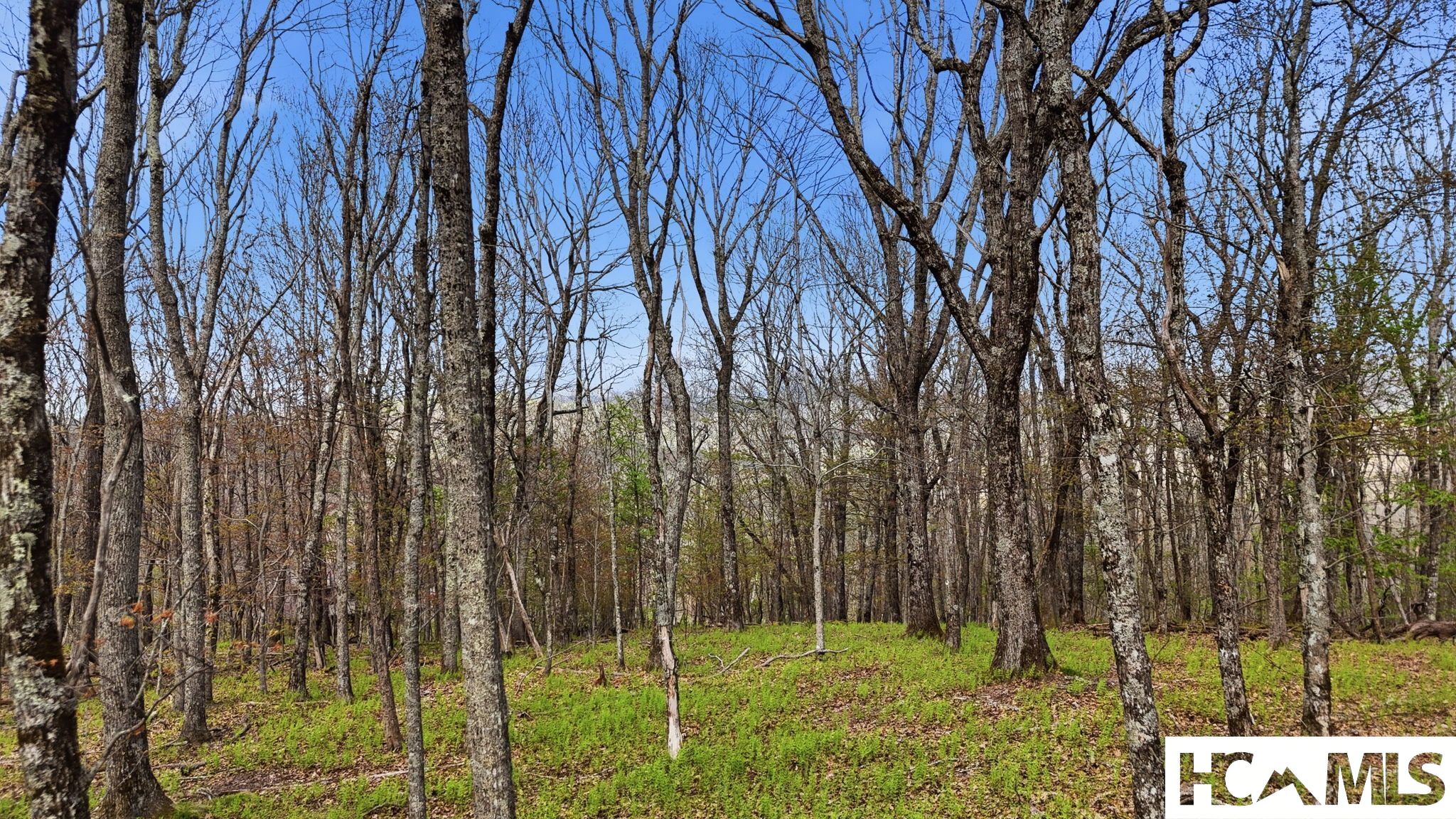 5 Misty Ridge Trail