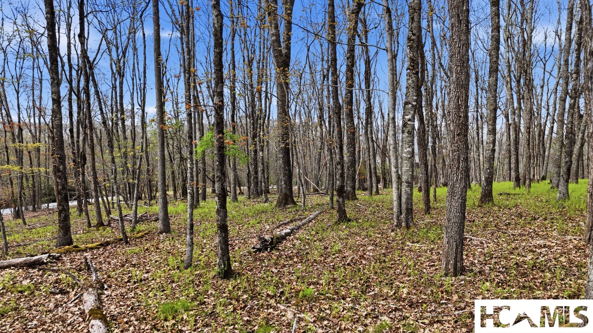 5 Misty Ridge Trail