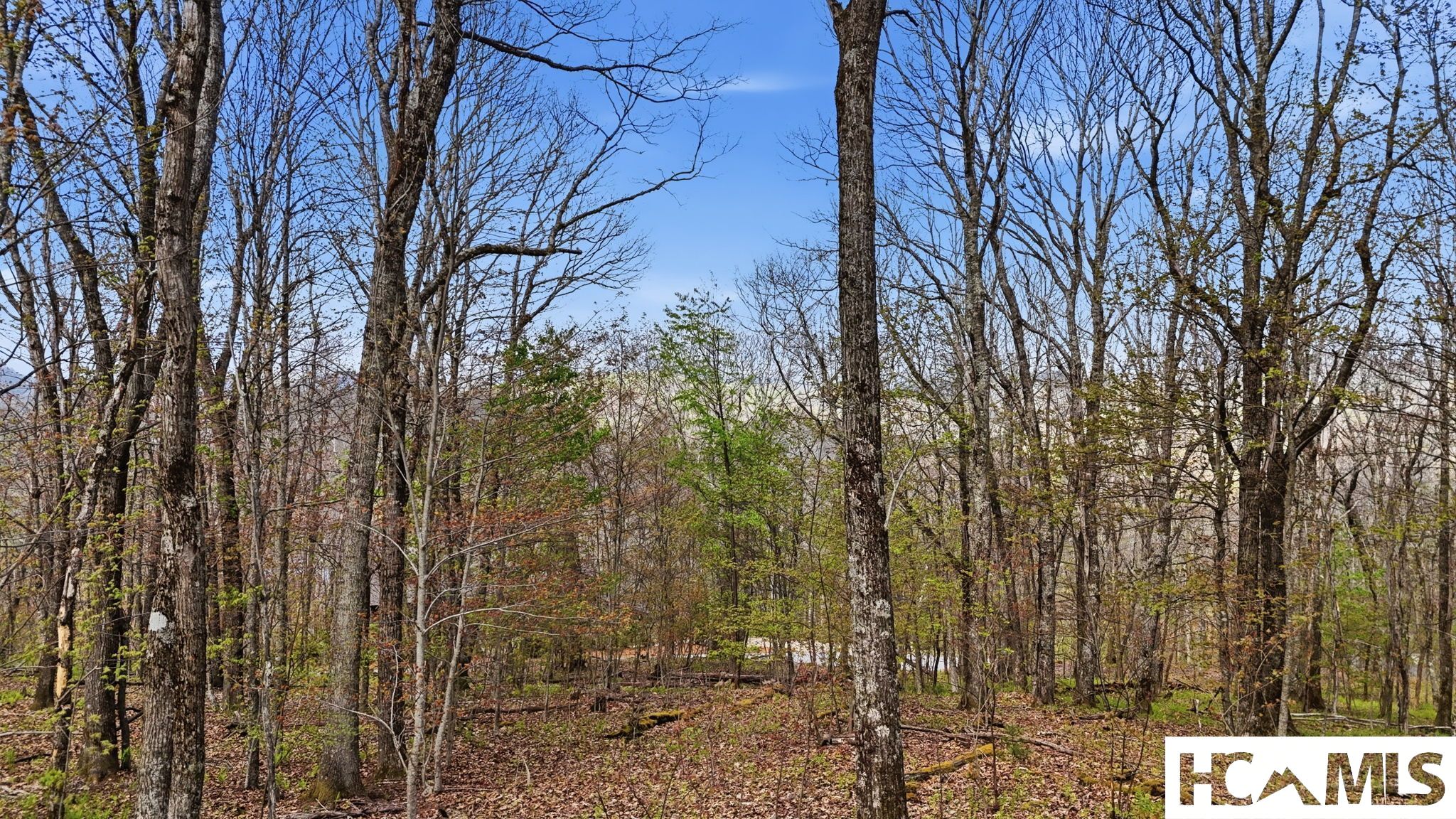 5 Misty Ridge Trail