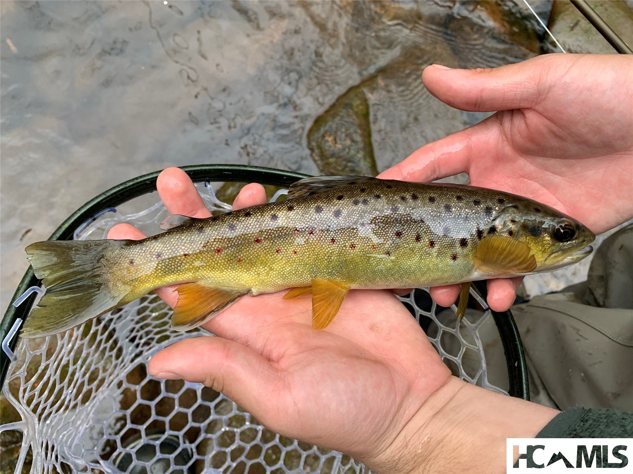 140 Twin Kettle Falls