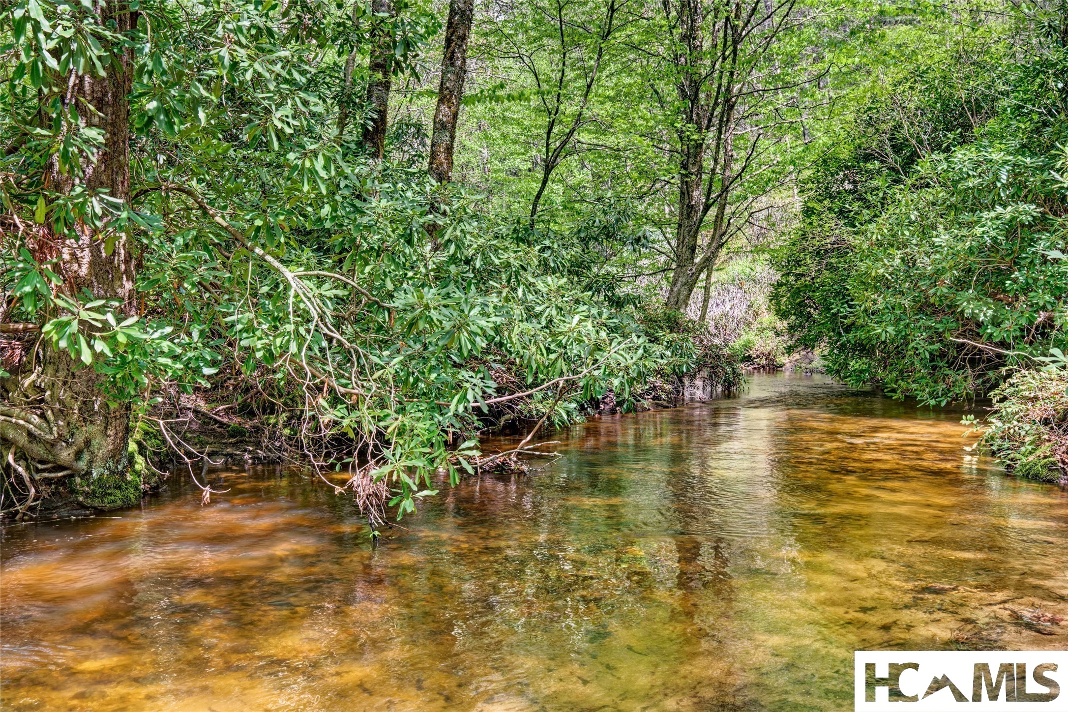 140 Twin Kettle Falls