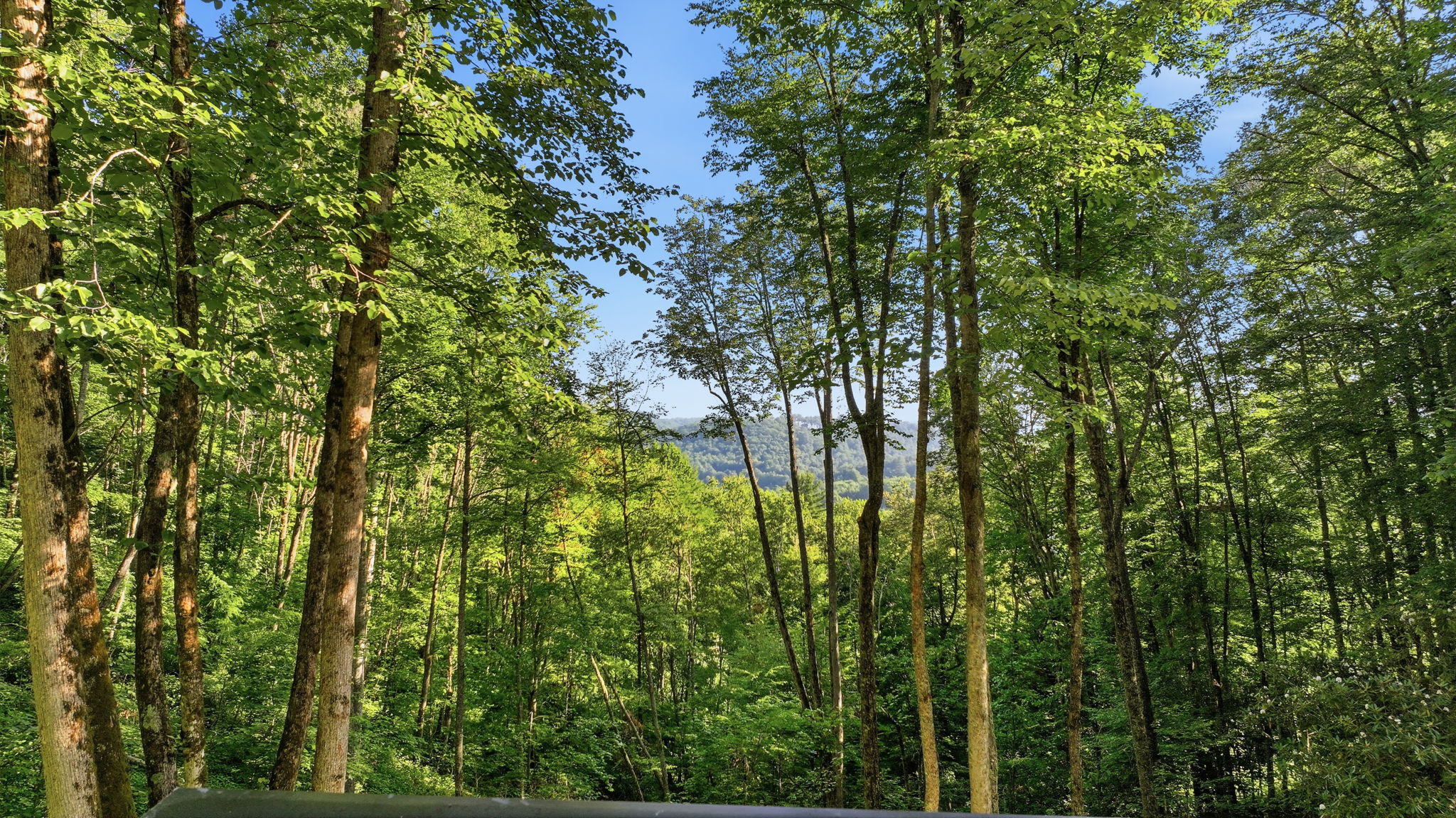 374 Triple Creek Drive
