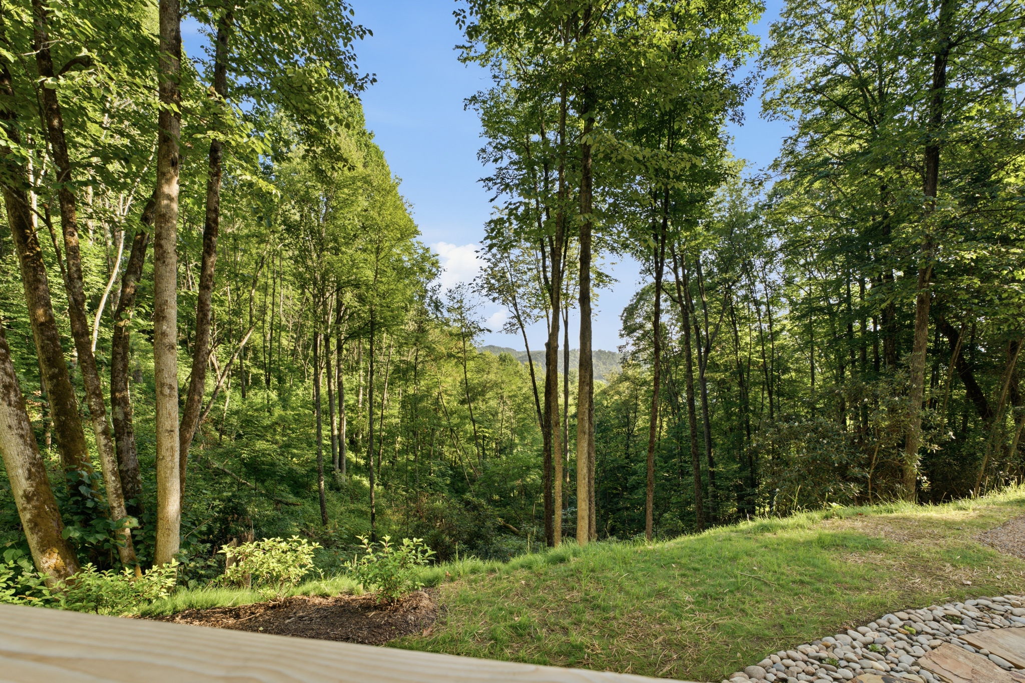 374 Triple Creek Drive