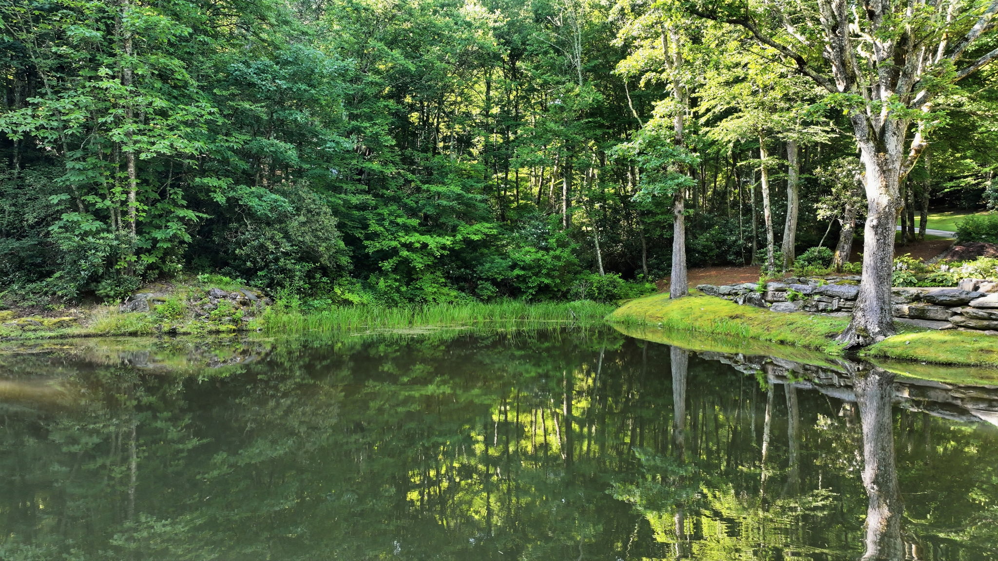 374 Triple Creek Drive