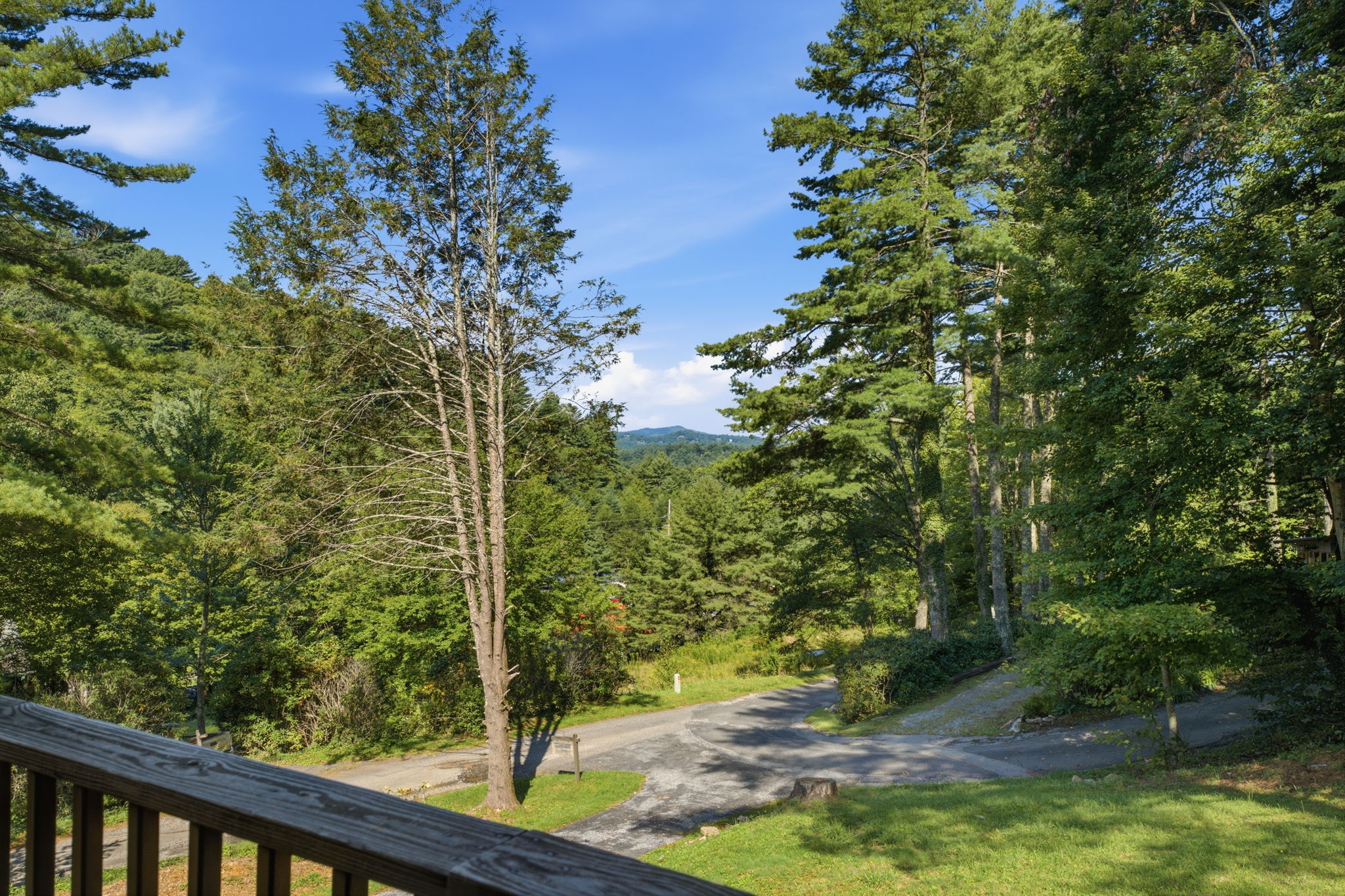 Wooded property view with a paved drive, mature trees, and distant mountain ridges.