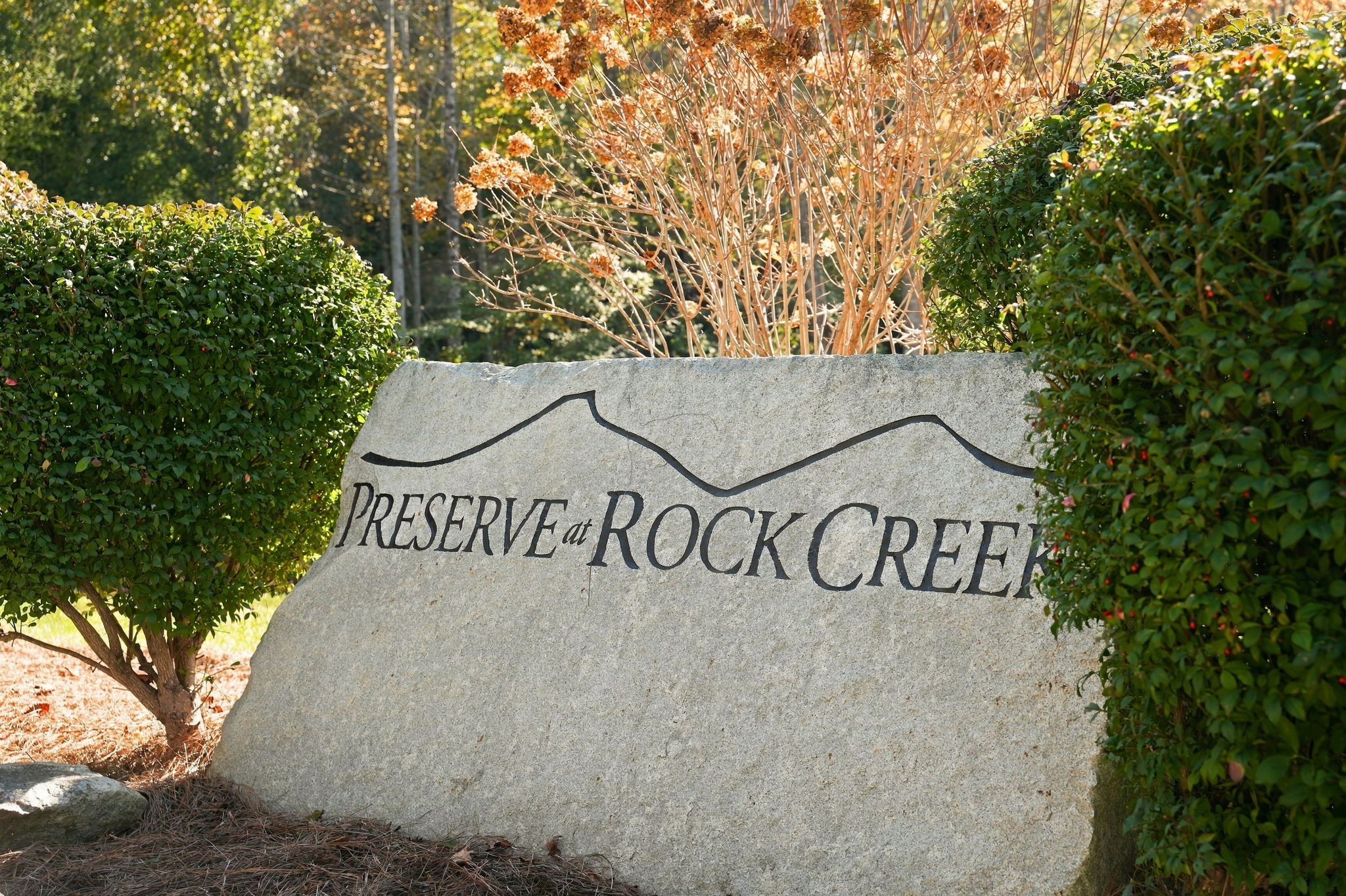 20 Whitetail Drive