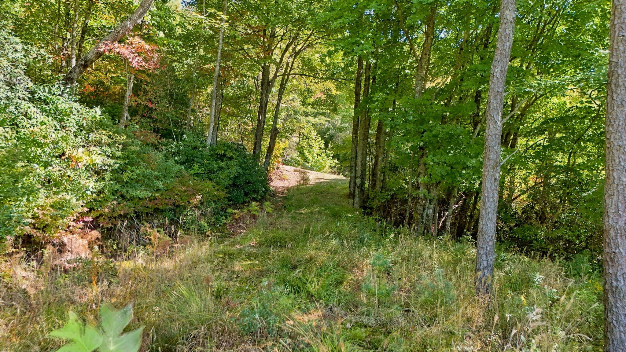 20 Whitetail Drive